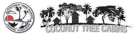 Отель Coconut Tree Вест-Энд Экстерьер фото